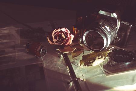 Camera, film and rose