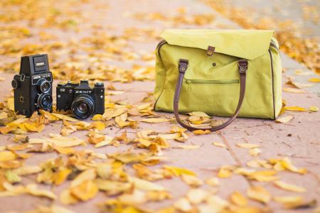 Cameras and Autumn Leaves