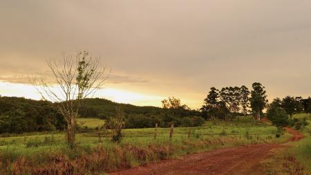 Camino al ocaso