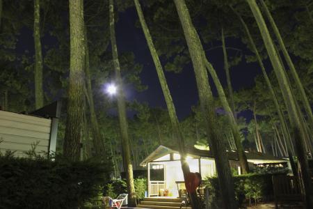 Campsite at night