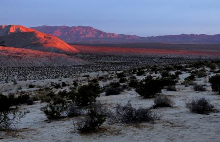 Campsite Off Bow Willow Road, south part of Anza Borrego S P, CA (3-13-2018) -07