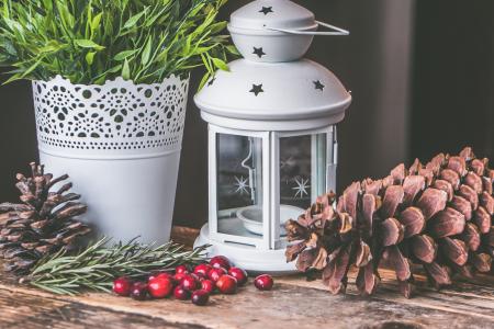 Candle Lantern Beside Pine C One and Green Leaf Plant