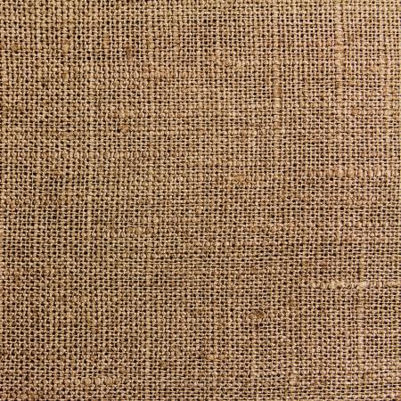 Canvas Texture