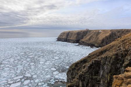 Cape St. Mary Seascape