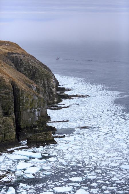 Cape St. Marys Ocean Ice