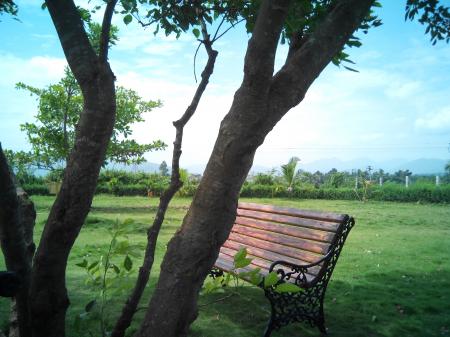 Capturing the Nature