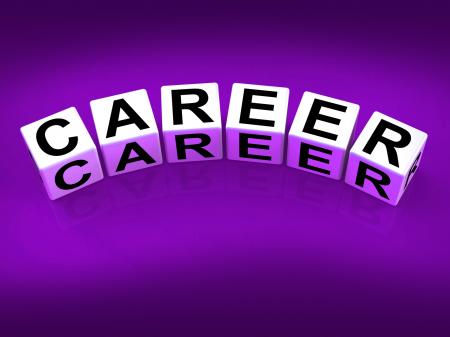 Career Blocks Refer to Professional and Work Life