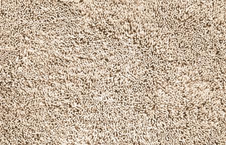 Carpet texture