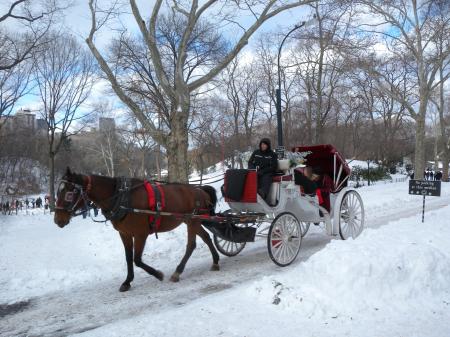 Carriage Ride