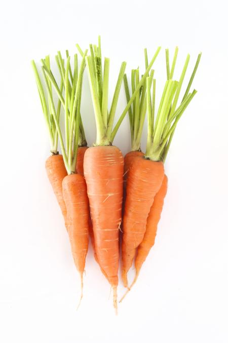 Group of Carrots