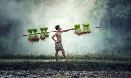 Carrying a Stick with Grass