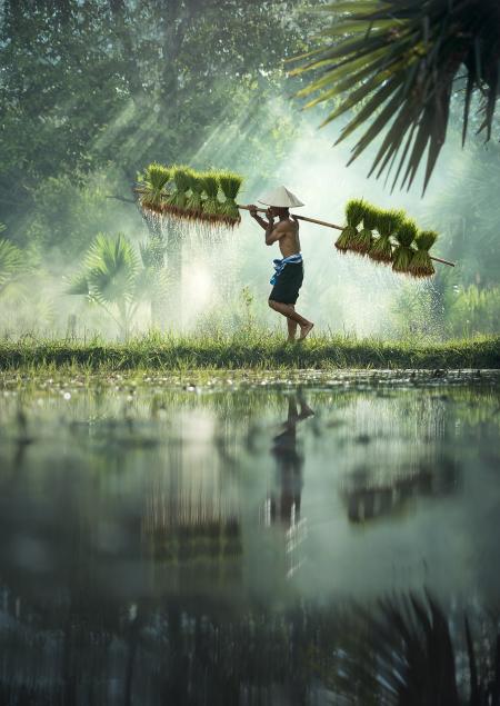 Carrying Food for Pets