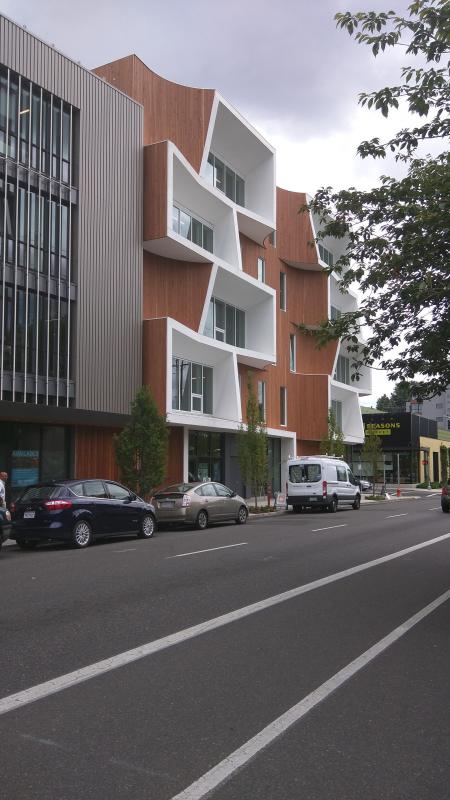 Cars on Street in City