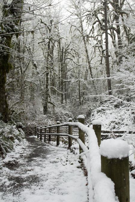 Cascadia State Park in snow, Oregon