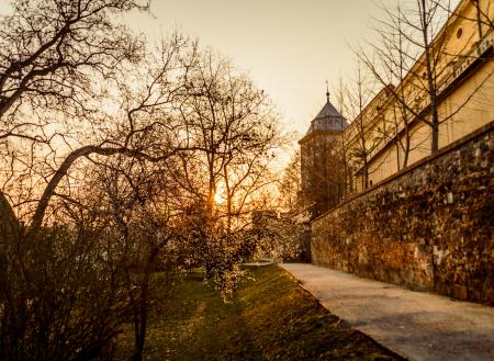 Castle Walls Surrounded by Trees