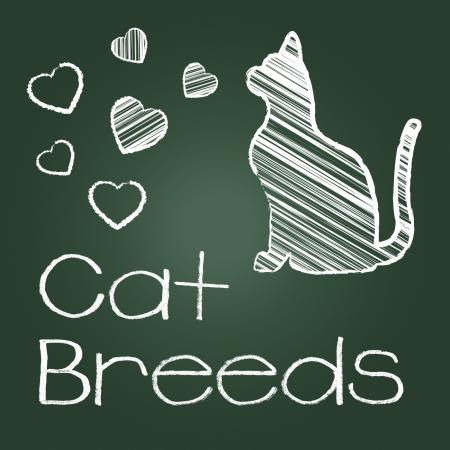 Cat Breeds Represents Pedigree Kitty And Reproducing