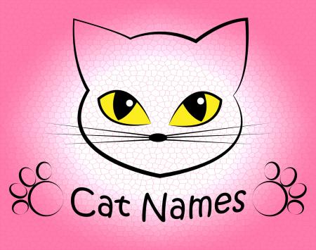 Cat Names Represents Kitty Pets And Feline