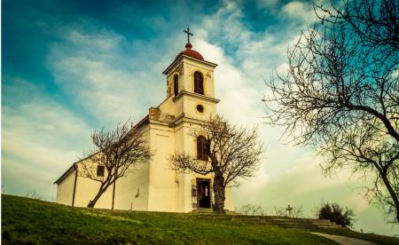 Cathedral Under Clouds Near Leafless Tree