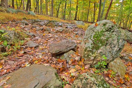 Catoctin Mountain Trail - HDR