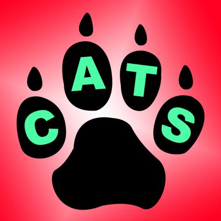 Cats Paw Shows Pet Services And Feline