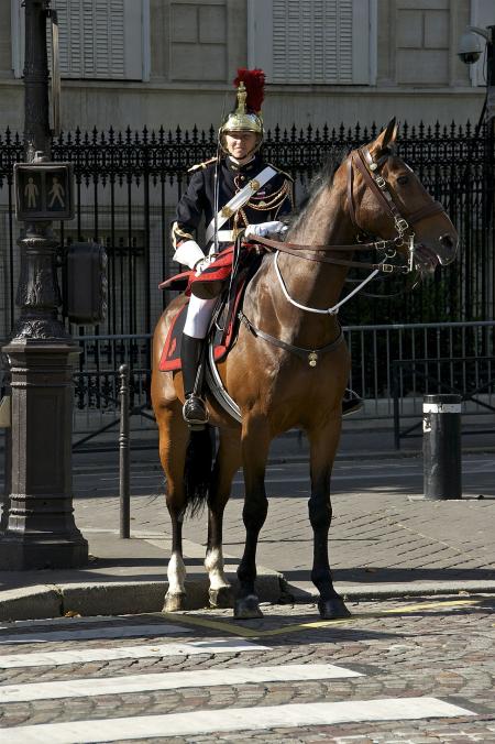 Cavalry