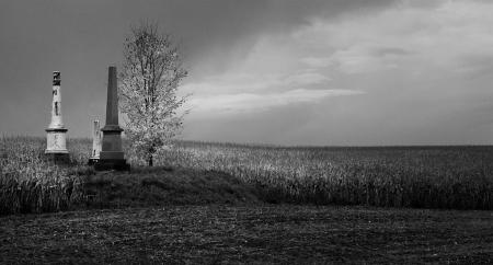 Cemetery in cornfield