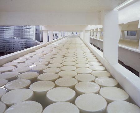 Cheese Factory