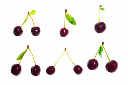 cherries isolated