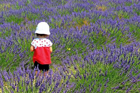 Child chasing a yellow butterfly