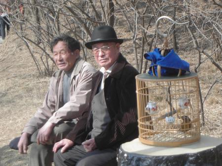 China Bird Walking