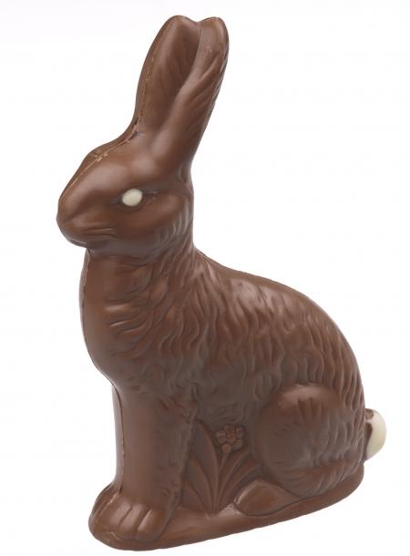 Choco Bunny