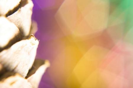 christmas background