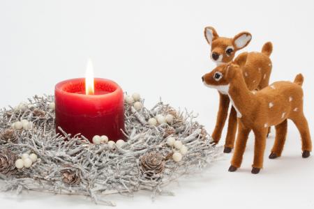 Christmas Deers
