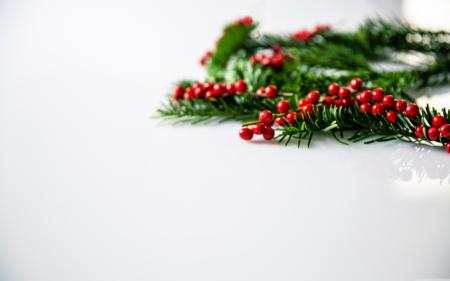 Christmas holly background