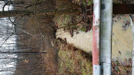 Christmas Rocks State Nature Preserve