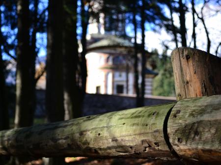 Church in the forest