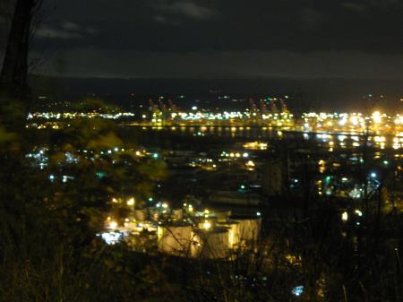 City from hillside near Missy's place at night 7