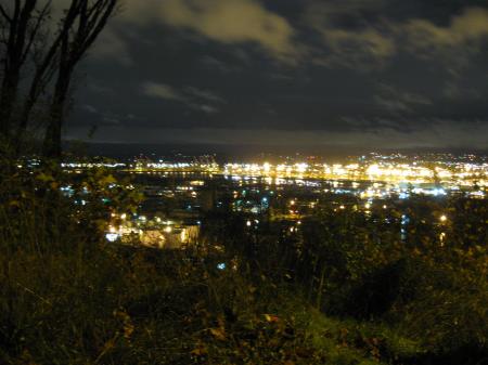 City from hillside near Missy's place at night 8