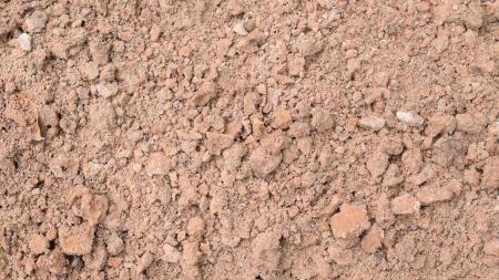 Soil Surface Texture