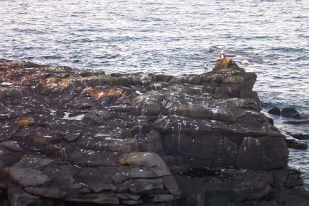 Cliffs by the sea