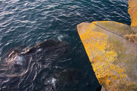 Cliffs by the sea