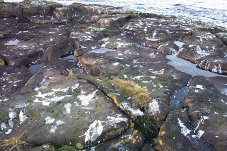 Cliffs by the sea