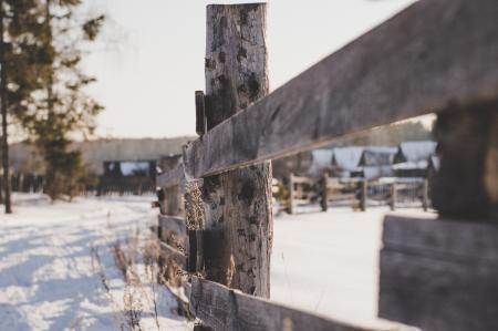 Close Photo of Brown Wooden Fence