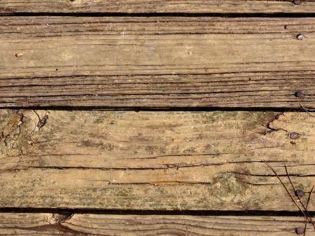 Close-up Of A Wooden Texture