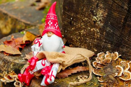 Close-up of Christmas Decoration