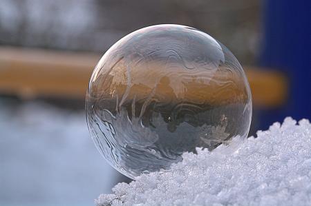 Close-up of Ice