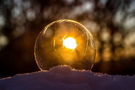 Close-up of Light Bulb during Sunset