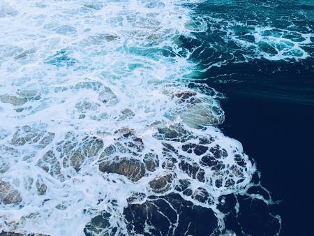 Close-up of Sea Foam