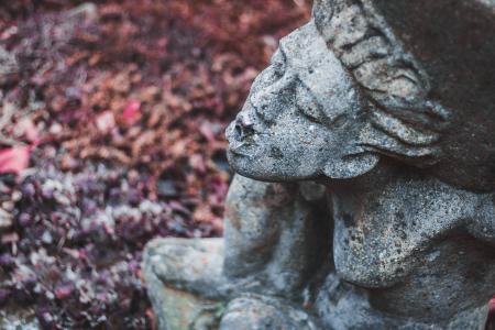 Close-up of Statue