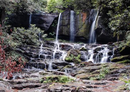 Close-up of Waterfall Against Trees